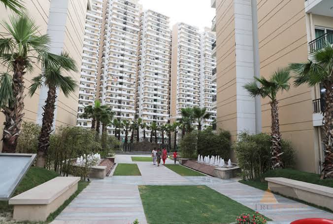 ACE City Flats