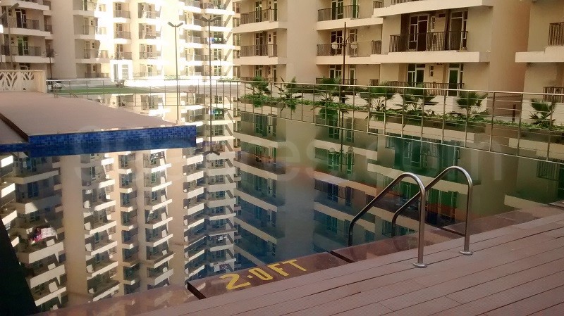 Gaur City 11th swimming pool