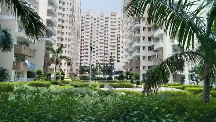 Royal Nest Noida Extension